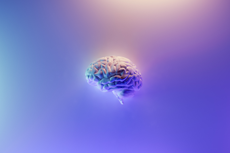 An image of a brain centered on a blue background.
