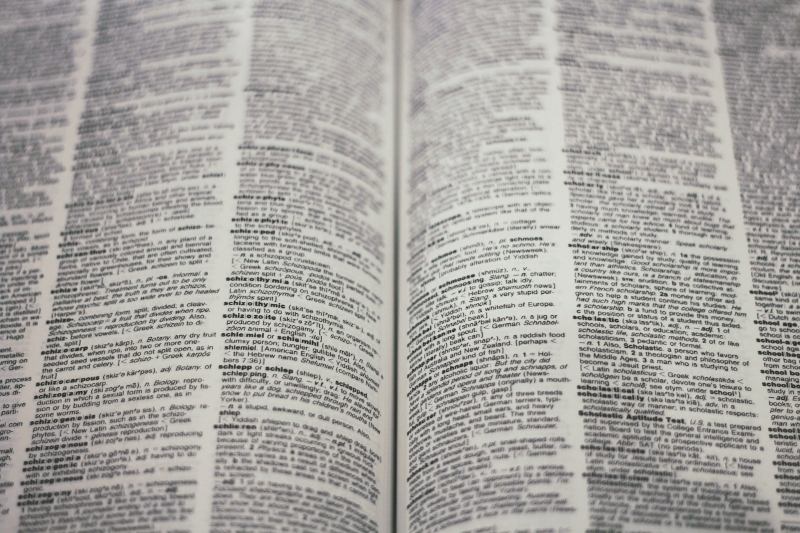 A close-up shot of an open dictionary.