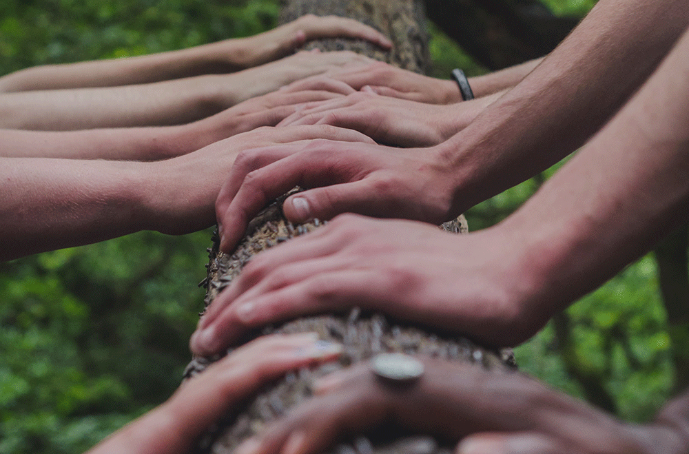Hands showing solidarity